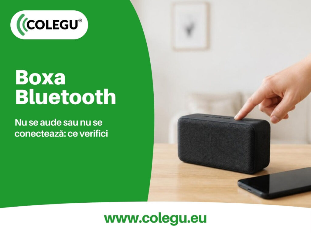 Boxa Bluetooth nu se aude: volumul, legătura, resetarea