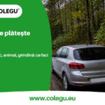 Mașină oprită pe marginea unui drum cu copaci, după o furtună