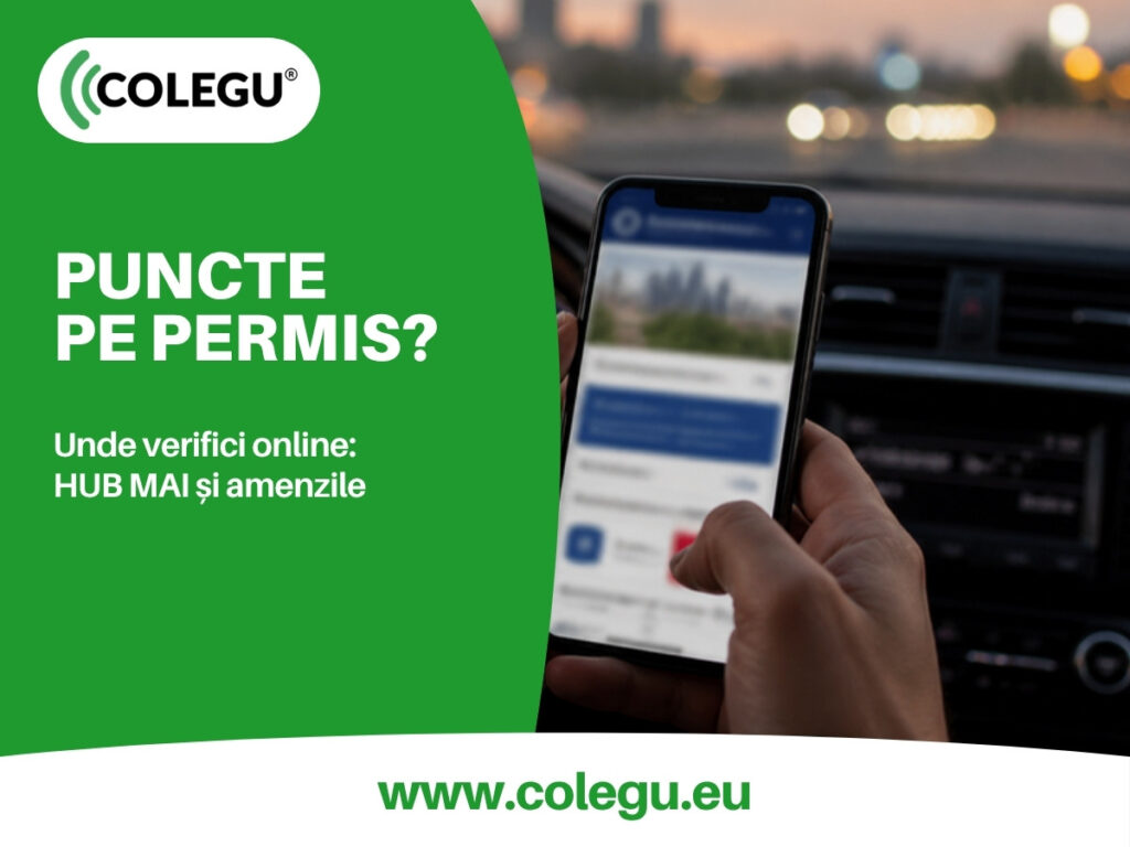 Verificarea online a punctelor de penalizare, a permisului suspendat și a amenzilor pe HUB MAI și ghiseul.ro
